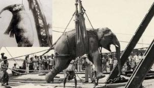 Tragic: Dark chapter in American circus history