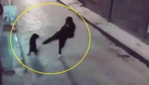 Instant Karma Strikes: Man’s Attempt to Kick Stray Dog Backfires!