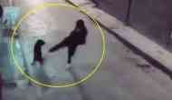 Instant Karma: Man Tries to Kick Stray Dog, Ends Up Flat on the Road