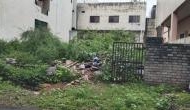 Neemuch: Empty plots in the city becoming breeding grounds for dengue and malaria