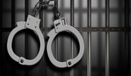 Two Russian journalists detained on 'extremism' charges, linked to Navalny group